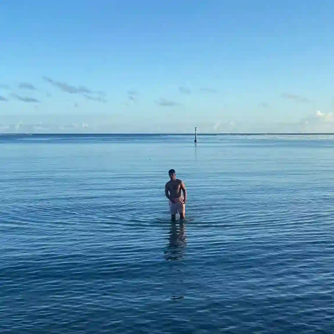 Reviewer picture Reviewer picture